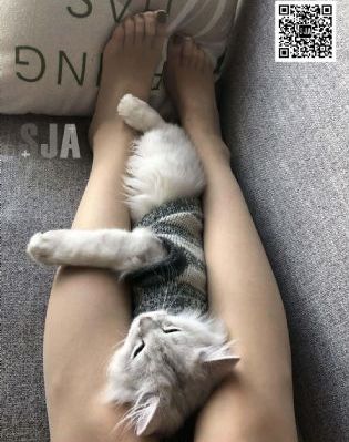 邻居的阿伦理