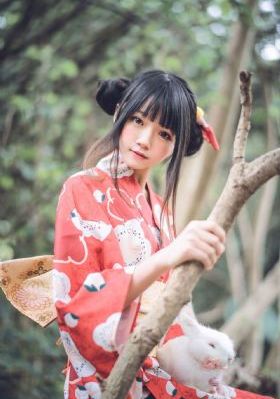 珠帘玉幕电视剧免费在线观看