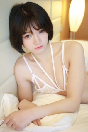 变形金刚2卷土重来