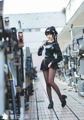 29片棕榈叶