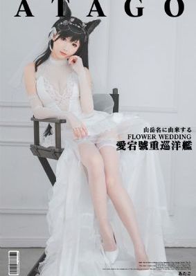 野性在线观看